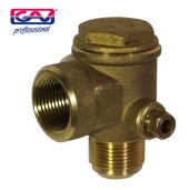 Non Return Valve