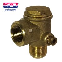 Gav Non-Return Valve 3/4" - F/M Bx16vrv120