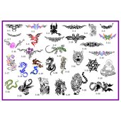 Air Brush Accessories