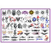 Air Brush Accessories