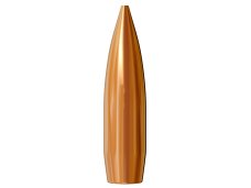 Ammunition