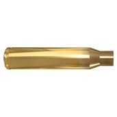 Gun Care & Accessories