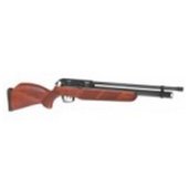 Air Rifles/Pistols