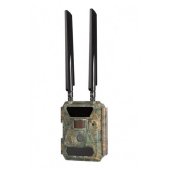 Trail Cameras
